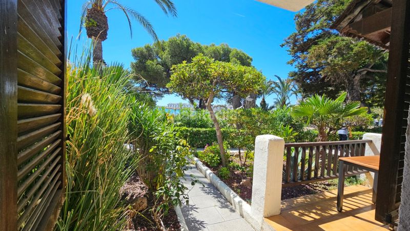 Foto 8ce212d9-822e-4b60-bf84-5d9160382534. Apartament amb piscina a Alcossebre