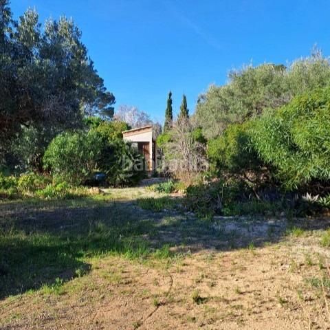 Foto 1c3b6239-06d7-49ad-a697-c88b2bc1d94b. Terreny residencial a Ampolla (L´)