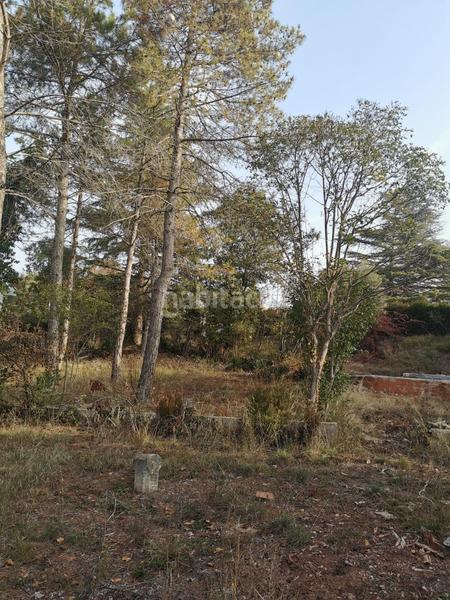 Foto c1e9499e-1383-41a4-b55e-ac1772ed8b4f. Residential plot in Sant Fruitós de Bages