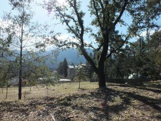 Residential Plot in Passeig de les farigoles 120. Solar en venda  viladrau