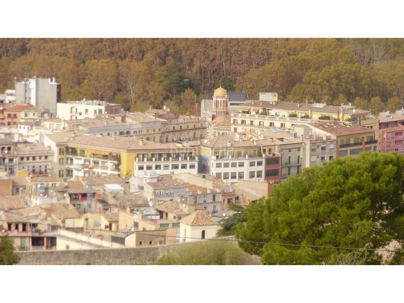 Foto 173d008b-8890-4b65-9126-e1565c74b5ef. Finca rústica a Santa Eugenia Girona