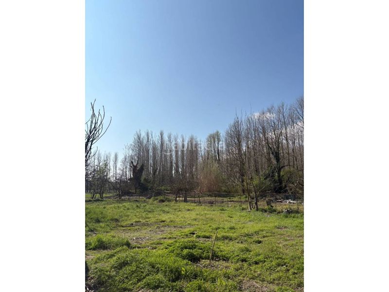 Foto 32ad1569-6e41-4672-8f8e-523cec2a3247. Finca rústica a Barri Vell Salt