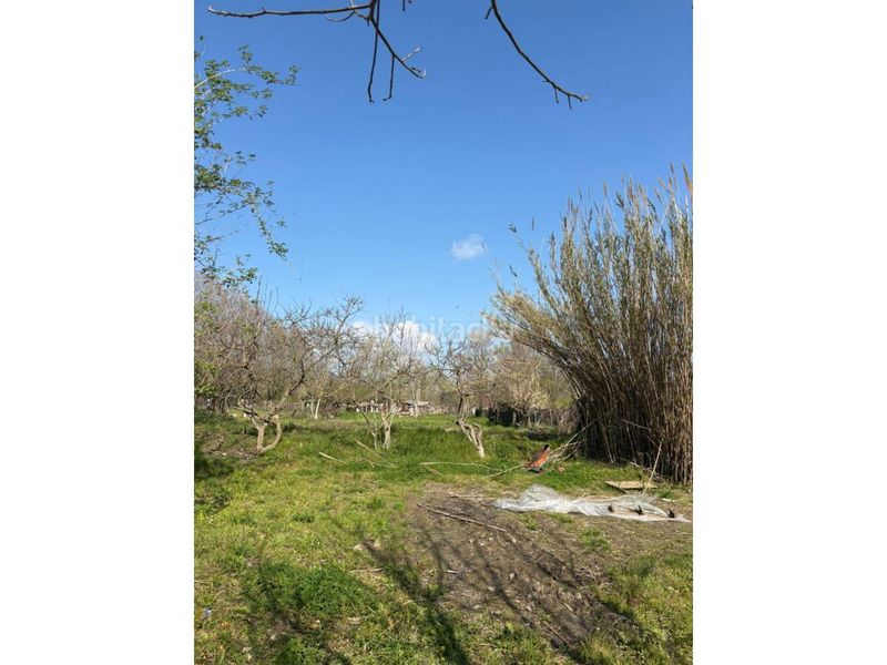 Foto 84ce70ad-316a-4567-98aa-7818a34a2c20. Finca rústica a Barri Vell Salt