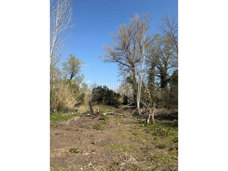 Foto c071c370-31aa-4fb0-9c54-6265c2e4bf5e. Finca rústica a Barri Vell Salt