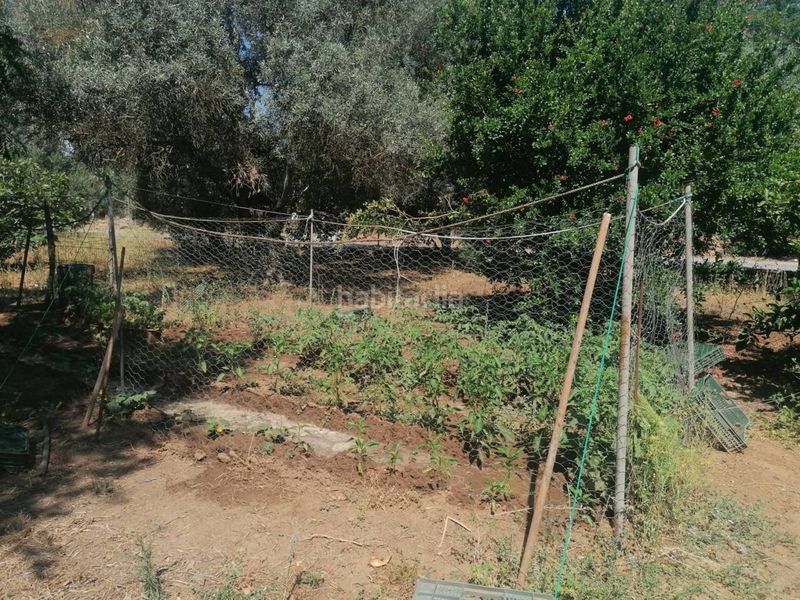 Foto 3a5ae482-1d06-4826-baf7-65f639012dca. Chalet  en venta en Carmona
