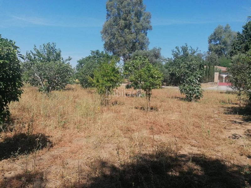 Foto 8416e38f-eb08-4980-9d10-72534641412f. Chalet  en venta en Carmona
