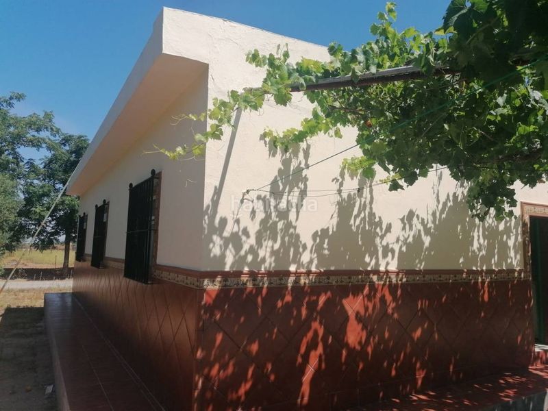 Foto dd9c5f8b-332d-4098-a2ba-cabbcef7c940. Chalet  en venta en Carmona
