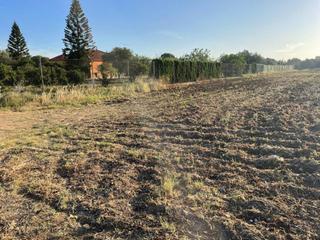 Propriété  El caudal. Terreno en venta en carmona
