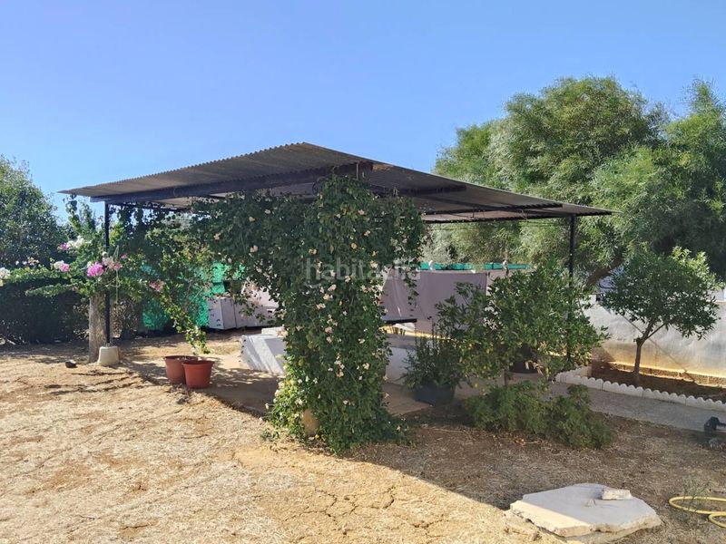 Foto 9938ab20-896c-4095-be4c-e54d57278004. Chalet avec chauffage parking piscine dans Carmona