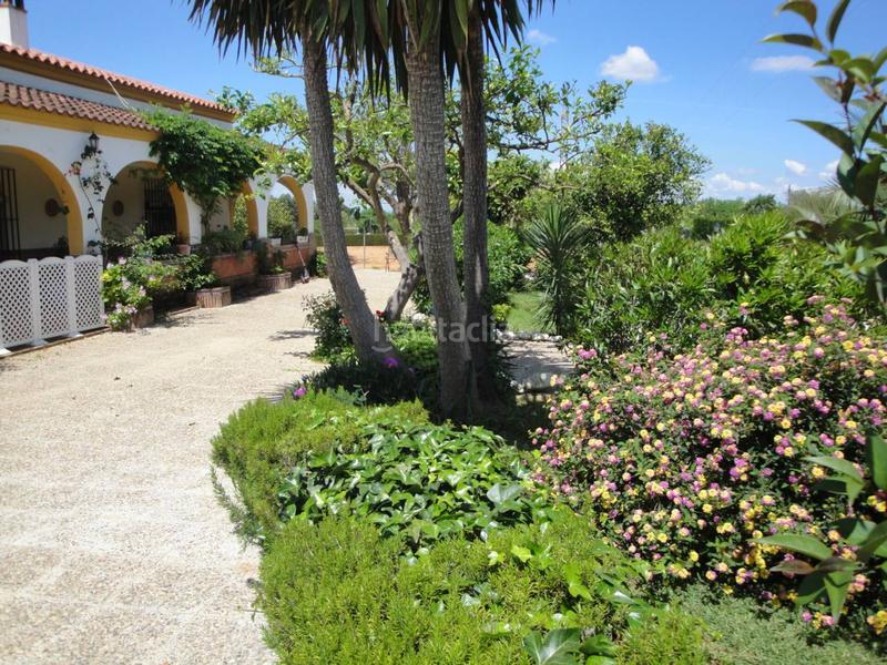 Foto 36030e47-3ef4-4aa0-98eb-fba8a4a81ae6. Casa en cortijos del alcor 1 chalet unifamiliar en venta en Carmona