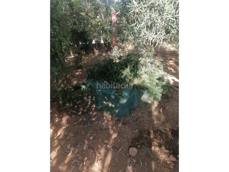 Foto 07af46ef-6804-4825-b3c6-d18ce16a31ca. Chalet  unifamiliar en venta en Carmona