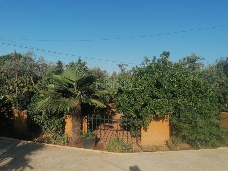 Foto 1cacd57b-c0b4-4d41-90fe-d4139285349e. Chalet  unifamiliar en venta en Carmona