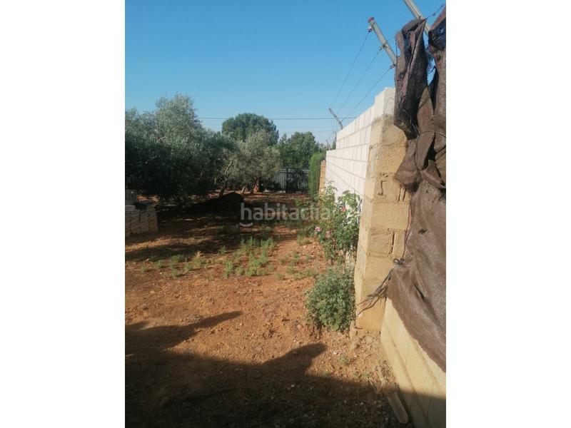 Foto 89876e02-ca6b-4ff4-892b-74e6d9f2721a. Chalet  unifamiliar en venta en Carmona