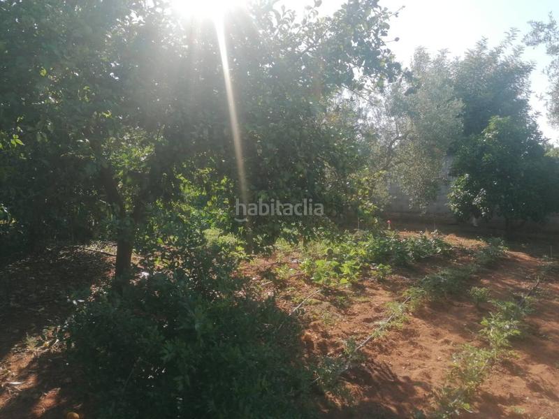 Foto f020007c-4f60-41f0-ac3e-3ae6c4c79a53. Chalet  unifamiliar en venta en Carmona