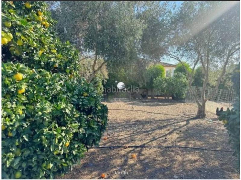 Foto e6dd15d4-2fc1-4e94-a779-ff0be02e6b06. Chalet en torrecilla 56 chalet unifamiliar en venta en Carmona