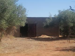Finca rústica a Arrobones 1. Terreno en venta en carmona