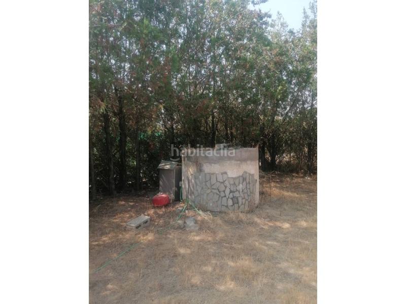 Foto 99d727fe-0727-428f-9cfe-0810fb34291e. Chalet en el chaparral 40 chalet unifamiliar en venta en Carmona