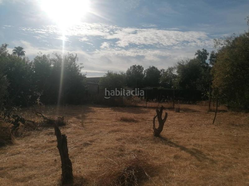 Foto ab1f3fb2-d748-4db2-9266-c48cd8f4a88f. Chalet in Carmona
