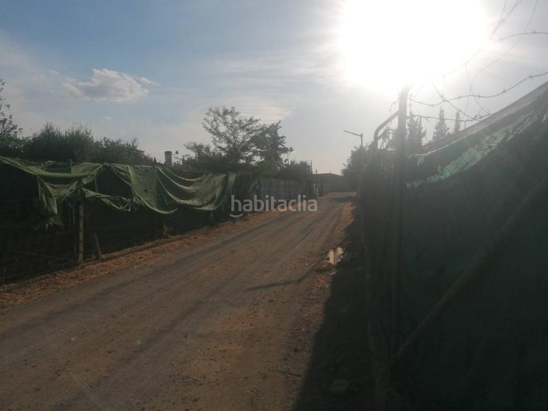 Foto 01178fb0-c062-4b5c-b551-b92bacb1a240. Maison dans zorzolena 44 dans Carmona