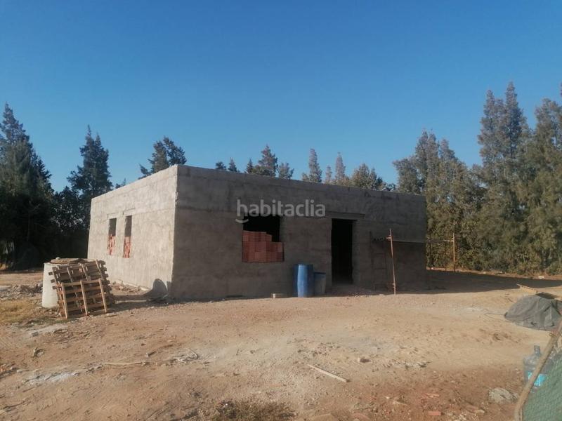 Foto 2cc46c5e-be9b-4ad1-acb5-eca692fbf7bc. Maison dans zorzolena 44 dans Carmona