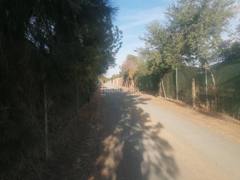 Foto 4ff57e06-bd14-4442-ac62-594a714257f6. Maison dans zorzolena 44 dans Carmona