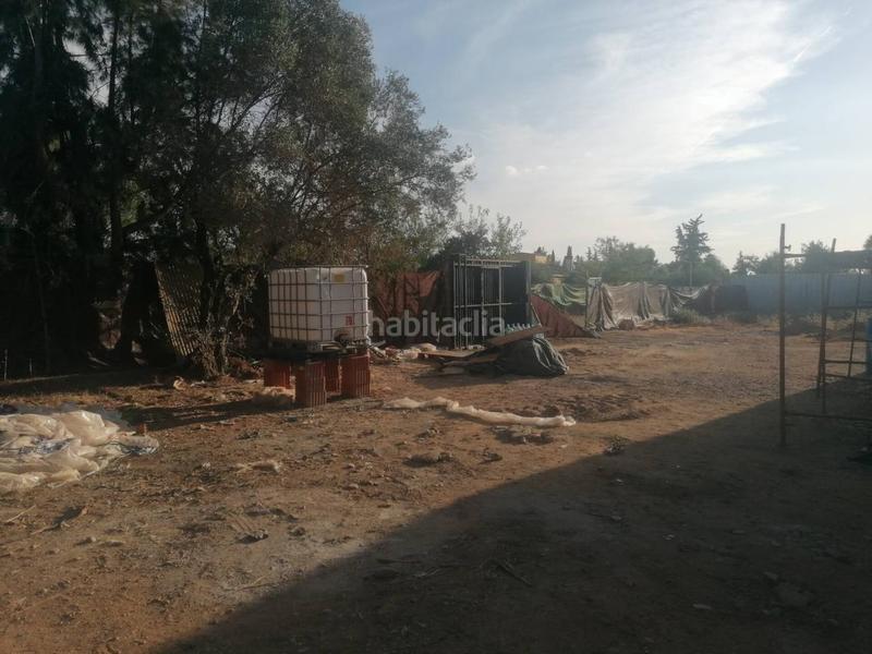 Foto c9b9b223-97a3-4dfd-9394-441fafa1cfd2. Maison dans zorzolena 44 dans Carmona