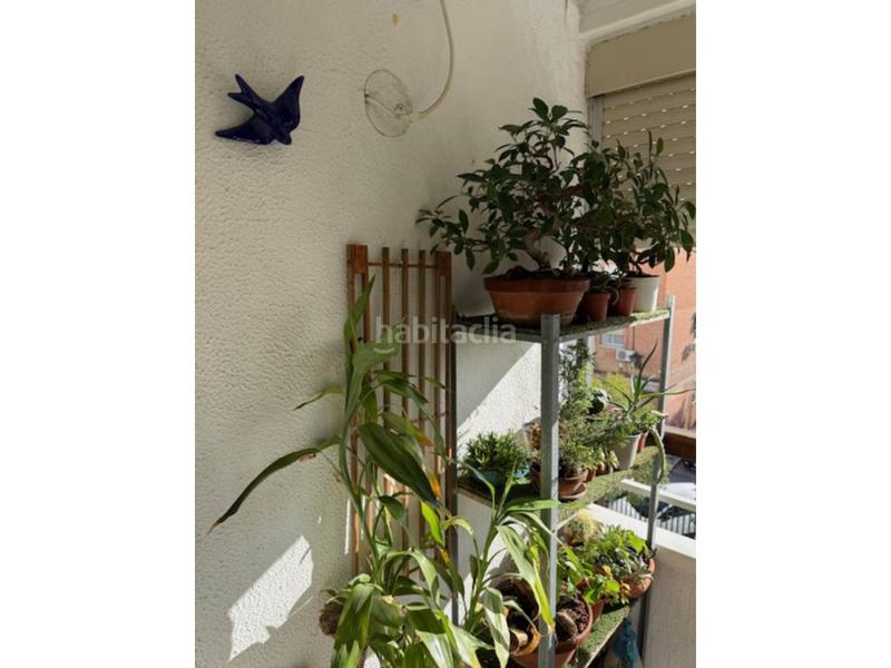 Foto 983d142e-04aa-472b-86fd-9d5dfe64e77b. Pis amb calefacció aparcament a Villegas Sevilla