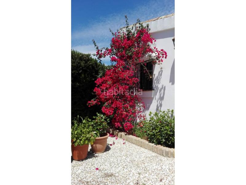 Foto aab4225c-84a9-4c67-a288-32539cc38a6a. Casa  en venta en Carmona