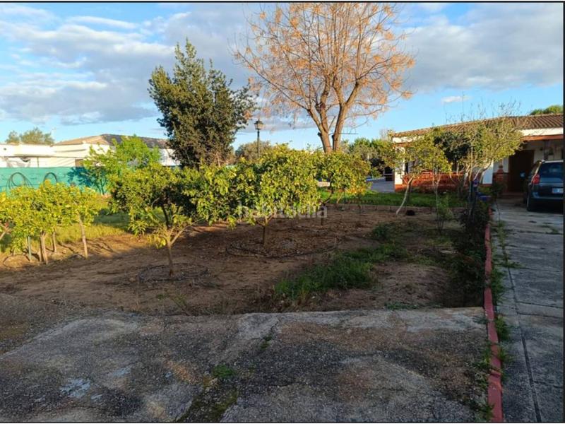 Foto 48aed9e9-9a8c-465f-85bd-d52e9892eb4c. Xalet amb aparcament piscina a Carmona