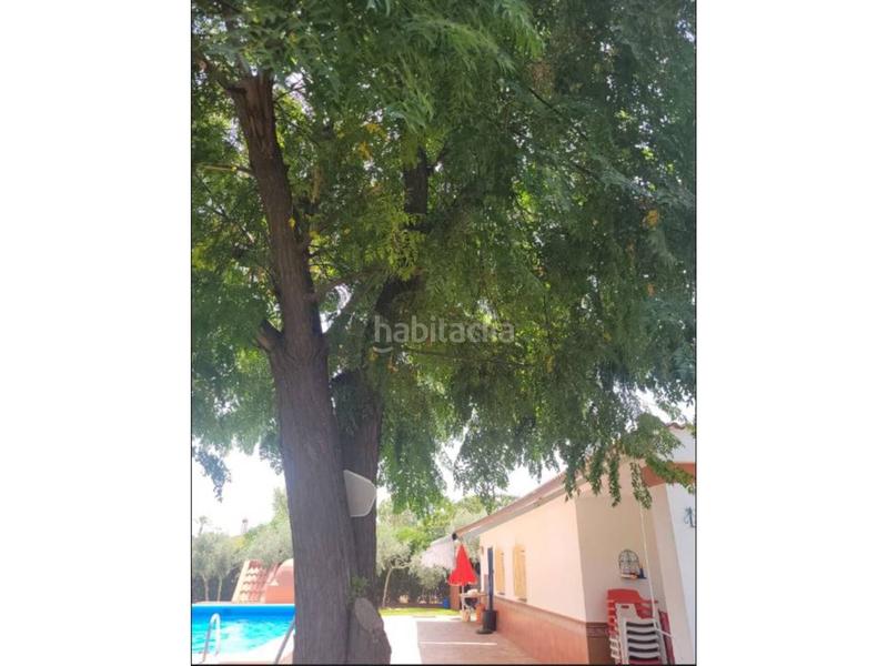 Foto 8ad8987c-6843-418e-823a-5a7c1283acdf. Xalet amb aparcament piscina a Carmona