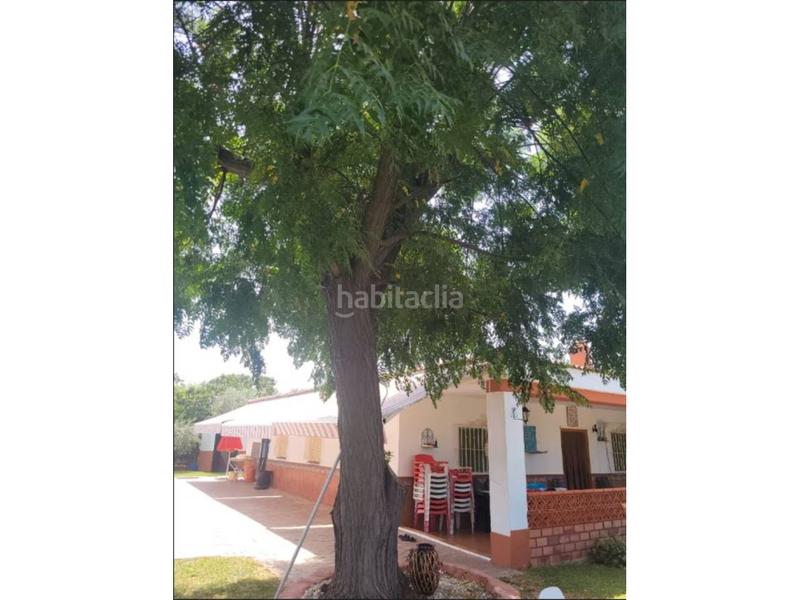 Foto 9f762554-9207-4350-a85f-578810bed5b1. Xalet amb aparcament piscina a Carmona