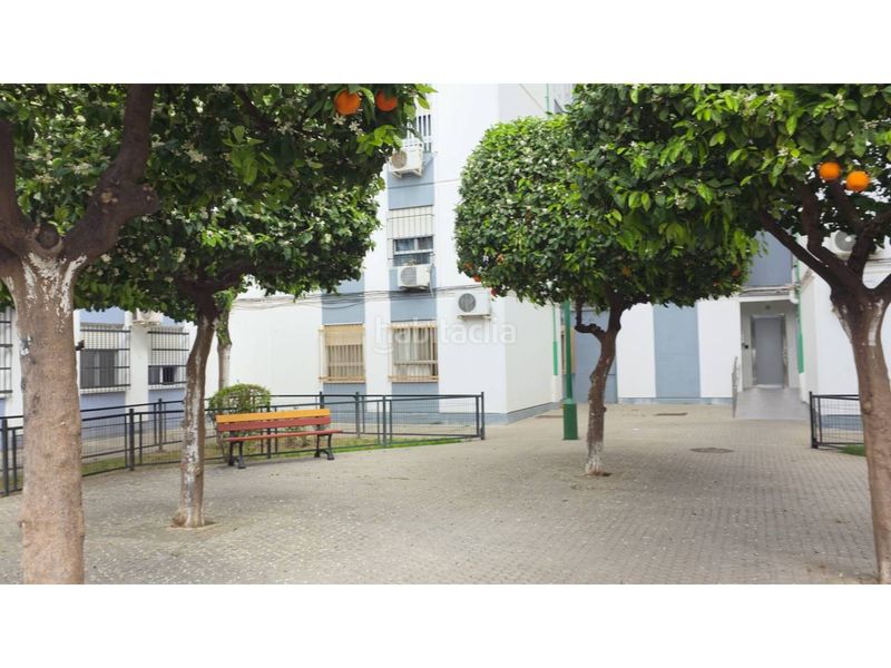 Foto c94be0ad-c26b-47da-9ef0-b79807e72380. Pis a calle rafael alberti 3 a San Carlos - San José Sevilla