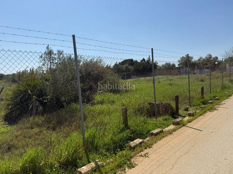 Foto 2ea0ea5b-aaa2-42ee-b33e-02ad77e8110c. Finca rústica a Carmona