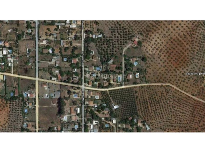 Foto 533c5c77-218a-485a-a1b9-d49bc9e85227. Finca rústica a Carmona