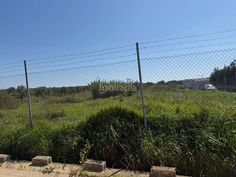 Foto 6d06e0c0-c5bf-4af8-9f93-6c8b178c4621. Finca rústica a Carmona