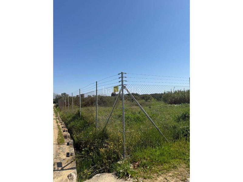 Foto 75dc8ef4-042f-48a8-bba9-9af5e5e8df73. Finca rústica a Carmona