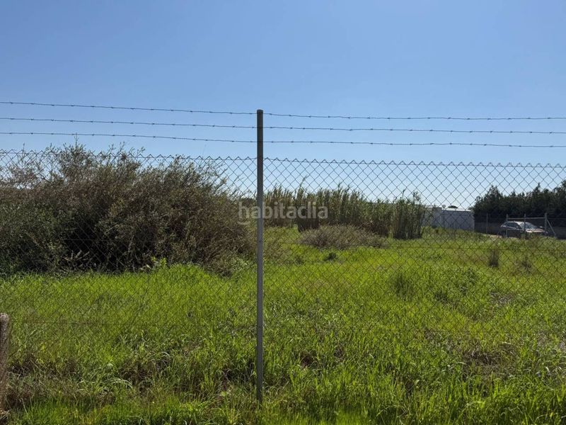 Foto 9fb3867a-56e2-4640-b171-2ba70f8d1c28. Finca rústica a Carmona