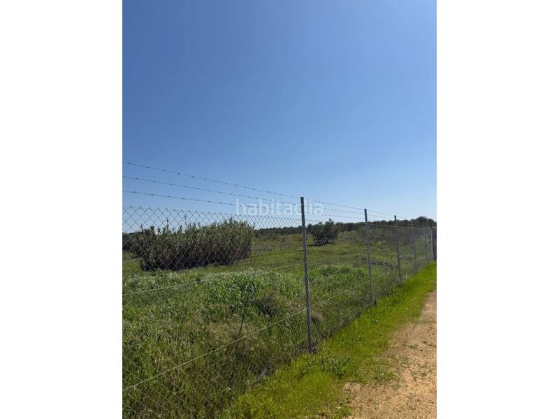 Foto d6963812-bd3d-482d-bbfd-23ffa4f46f23. Finca rústica a Carmona