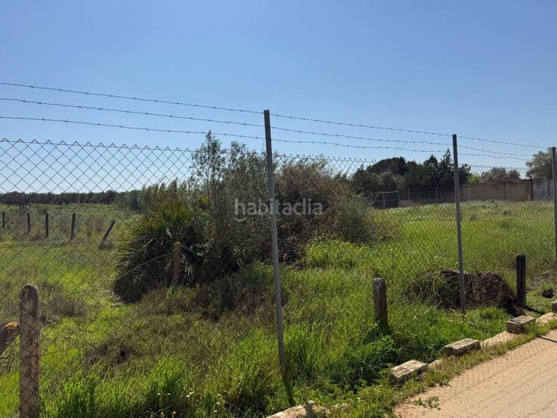 Foto e4bc7085-194b-45a5-8551-2c3867223bf7. Finca rústica a Carmona