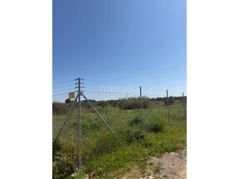 Foto f5f5c397-77b4-442a-a94a-2df46e5026ce. Finca rústica a Carmona