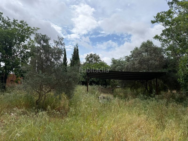 Foto b70886ca-d886-4c37-904f-b0cc8596ee69. Xalet amb aparcament a Carmona