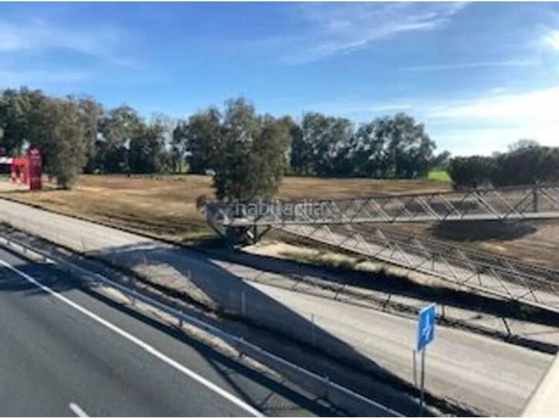 Foto 9ab2d807-6bab-4cbc-af18-b5b65e8ce4ed. Finca rústica oportunidad inversión en Carmona
