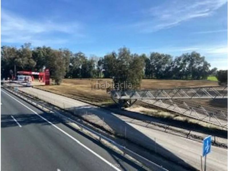 Foto ba52dc80-b6a2-4b3d-8a5e-f494d9d72543. Finca rústica oportunidad inversión en Carmona
