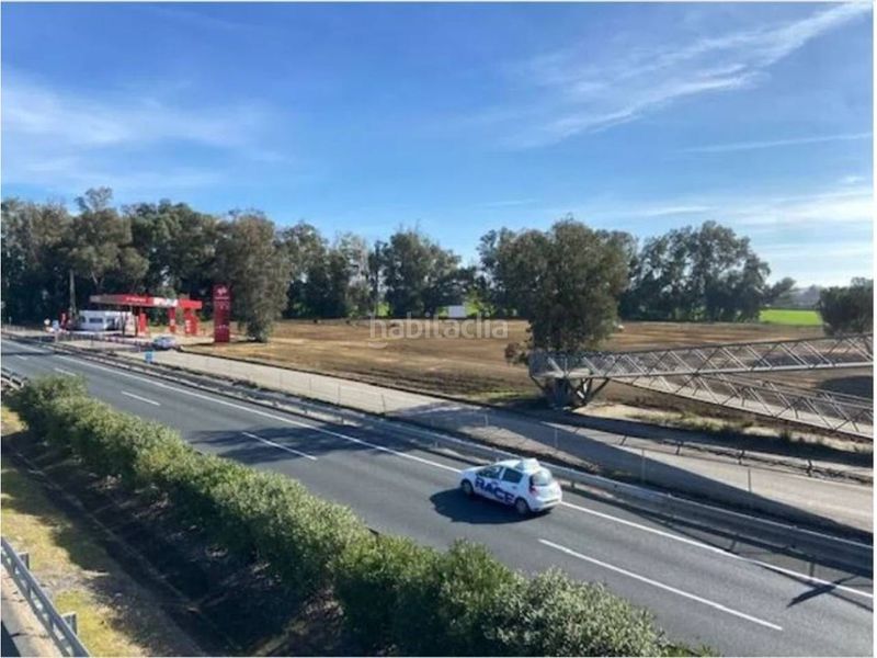 Foto d39f27db-f880-4541-88f9-1e055325b119. Finca rústica oportunidad inversión en Carmona
