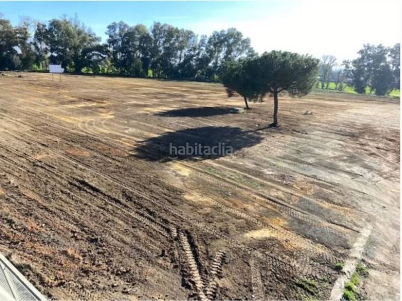Foto fed93b8e-f81b-4be8-9cbd-79738d6a7bc6. Finca rústica oportunidad inversión en Carmona