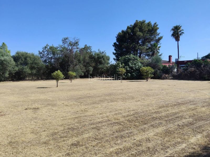 Foto aba0916f-8bb5-4ce1-879e-90cbde83a17e. Casa  en venta en Carmona