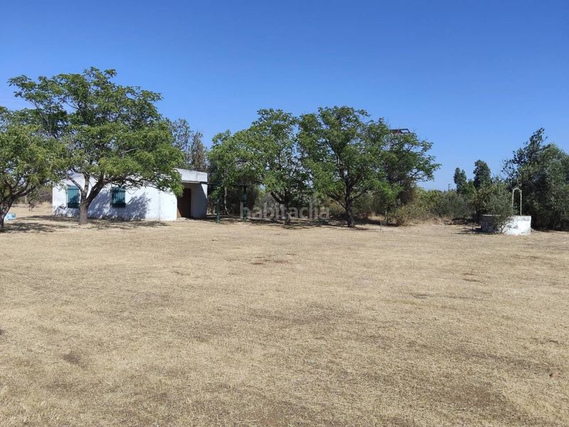 Foto de4cda6f-5a9f-474e-915b-2a1720244e8f. Casa  en venta en Carmona