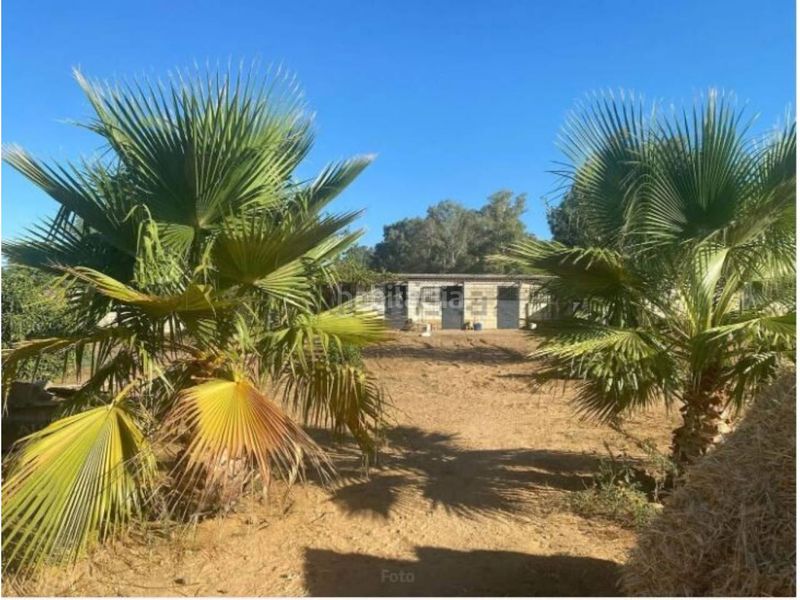 Foto 9cde5265-1f66-4858-a468-411feb3c8014. Chalet con riscaldamento parcheggio piscina in Oromana Alcalá de Guadaira