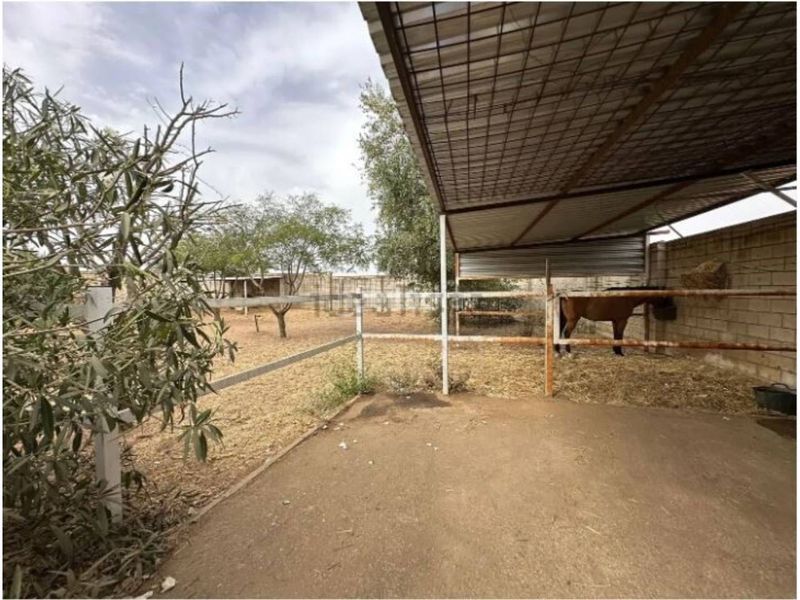 Foto a7f74d6d-d32f-4619-8c96-57fe00dc71e0. Chalet con riscaldamento parcheggio piscina in Oromana Alcalá de Guadaira