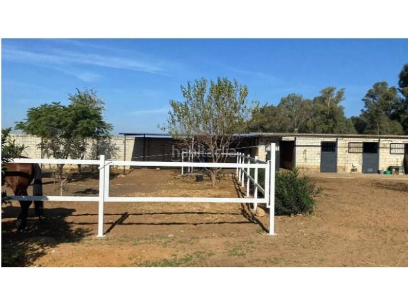 Foto aa9139b5-ad70-49b5-a7e4-27379e6b0e53. Chalet con riscaldamento parcheggio piscina in Oromana Alcalá de Guadaira